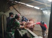Polres Tulungagung Ambil Bagian Pendampingan Satgas PMK