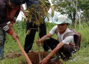 SPP dan TGLN Peringati Hari Gerakan Satu Juta Tanam Pohon
