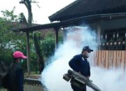 Dinkes Tulungagung Melakukan Pengasapan Tangani Kasus Chikungunya