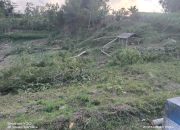 Pelaku Perusakan Tanaman Di Desa Sumberbendo Kec Pucanglaban di Lahan milik Rianto Dilaporkan ke Polsek PucangLaban