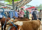 Pasar Hewan Terbesar di Wilayah Selatan Propinsi Jawa Timur di Resmikan Bupati