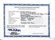 Beli Mobil Hyundai Palisade di Dealer ARJUNA Pengurusan STNKnya Lama