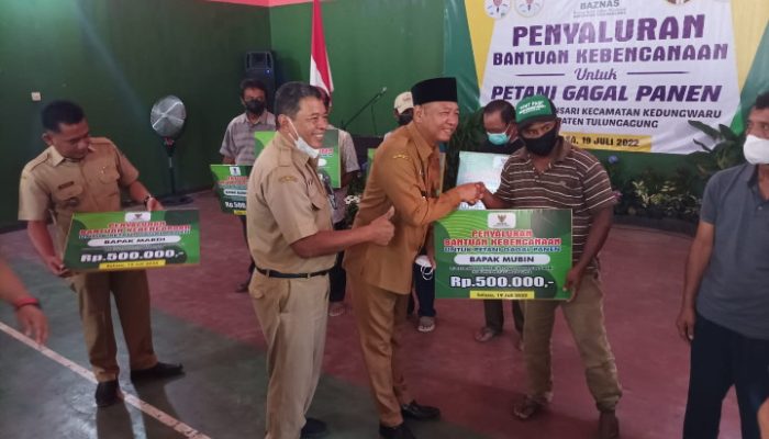Petani Gagal Panen Di Kecamatan Kedungwaru Dapat Bantuan yang Di Salurkan Oleh Wabub Gatut Sunu