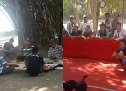 Oknum Kades Jogjati Memback Up Sabung Ayam