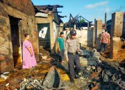 Bakar sampah Dekat kandang Akibatkan Dua Ekor Sapi  Tewas Terpangang