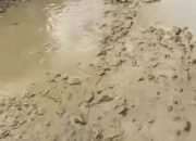 Inilah Tanggapan Kades kedoyo yang Warganya Memiral kan Kondisi Jalan  Poros Yang Rusak Parah