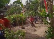 Tren Tanam Pohon Pisang Di Jalan Bentuk protes  Di Abaikan jalan Rusak  Hal ini di Lakukan Warga Desa Tangunggunung