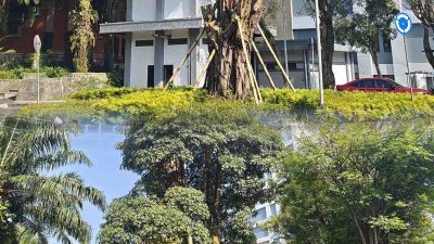 Bayang-Bayang Calo di Gerbang Kampus: Modus Pemerasan Berkedok Jalur Belakang Sistem Penerimaan Mandiri