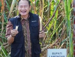 Lamongan Dapat Alokasi 1.385 Hektare Program Bongkar Ratoon Tebu Tahun 2026, Petani Diminta Segera Mendaftar