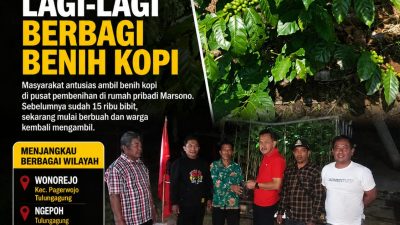 Di Bulan Bung Karno, Ketua DPRD Tulungagung Marsono Kembali Bagikan Benih Kopi, Jangkau Tulungagung hingga Kediri