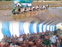Kementan Gelar Gerakan Tanam Padi Serentak di Nganjuk Melalui Program Oplah 2025