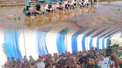 Kementan Gelar Gerakan Tanam Padi Serentak di Nganjuk Melalui Program Oplah 2025